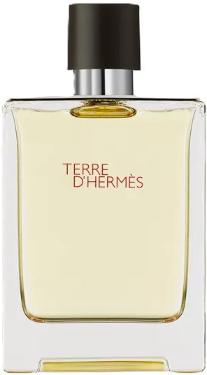 Hermes Terre d'Hermes 100ml (Туалетная вода) — Hermes Terre d'Hermes 100ml (Туалетная вода)