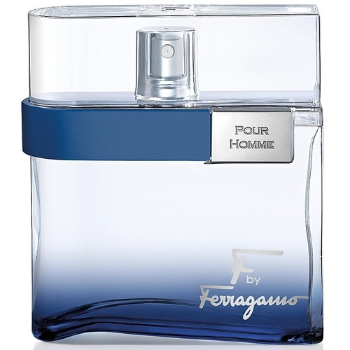 Salvatore Ferragamo F by Ferragamo Free Time Pour Homme 100ml (Туалетная вода) — Salvatore Ferragamo F by Ferragamo Free Time Pour Homme 100ml (Туалетная вода)