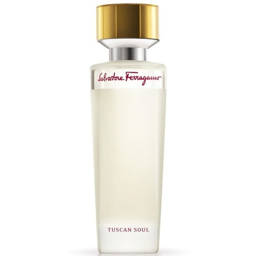Salvatore Ferragamo Tuscan Soul Pour Homme 100ml (Туалетная вода)