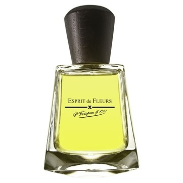 Frapin Esprit de Fleurs 100ml TESTER (Оригинал) Парфюмерная вода